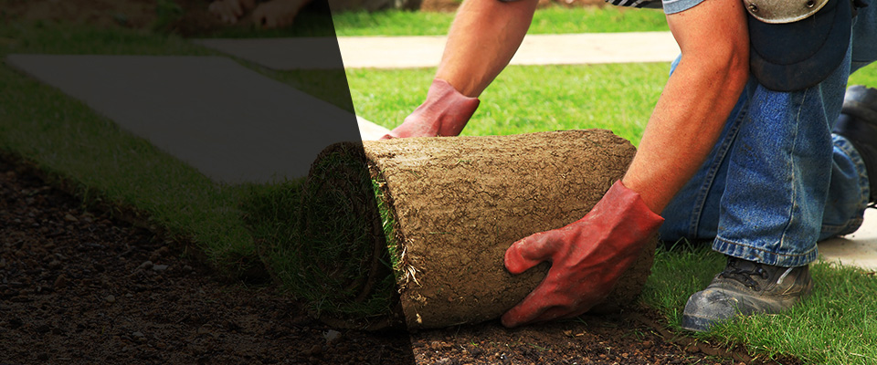 Crawfordville Landscapers